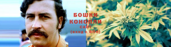 молекула духа Нязепетровск
