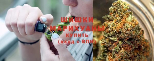амф Няндома
