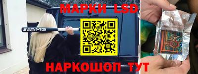крисы Будённовск