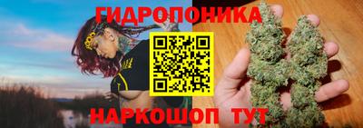 крисы Будённовск