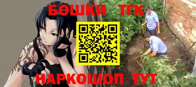 крисы Будённовск
