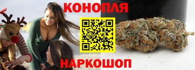 крисы Будённовск