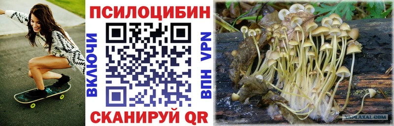 Галлюциногенные грибы MAGIC MUSHROOMS  KRAKEN маркетплейс  Лосино-Петровский 