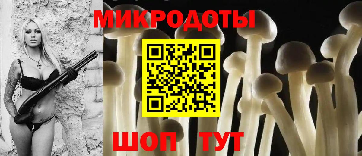 Псилоцибиновые грибы Psilocybine cubensis  Лосино-Петровский  Псилоцибиновые грибы Magic Shrooms 