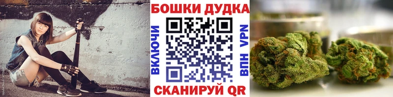 наркота  Лосино-Петровский  Каннабис сатива 