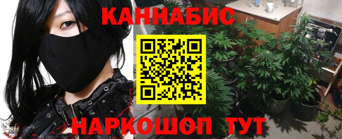 Конопля конопля Лосино-Петровский